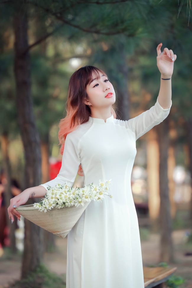 手枪与玫瑰